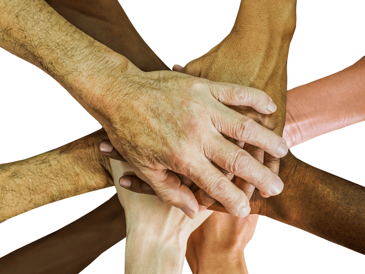 Title IX page (1) hands together