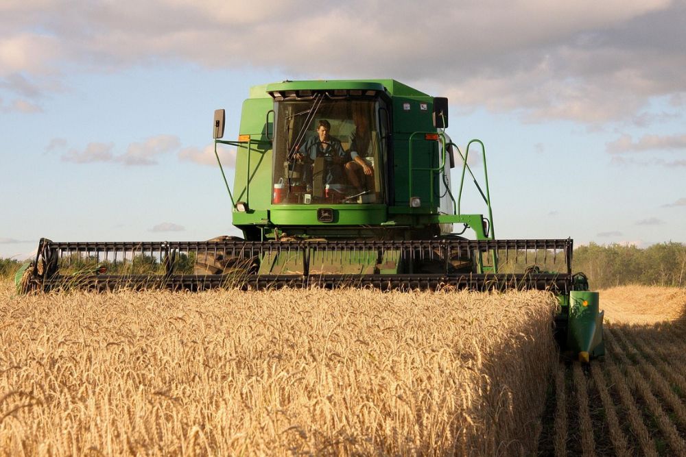 Agriculture